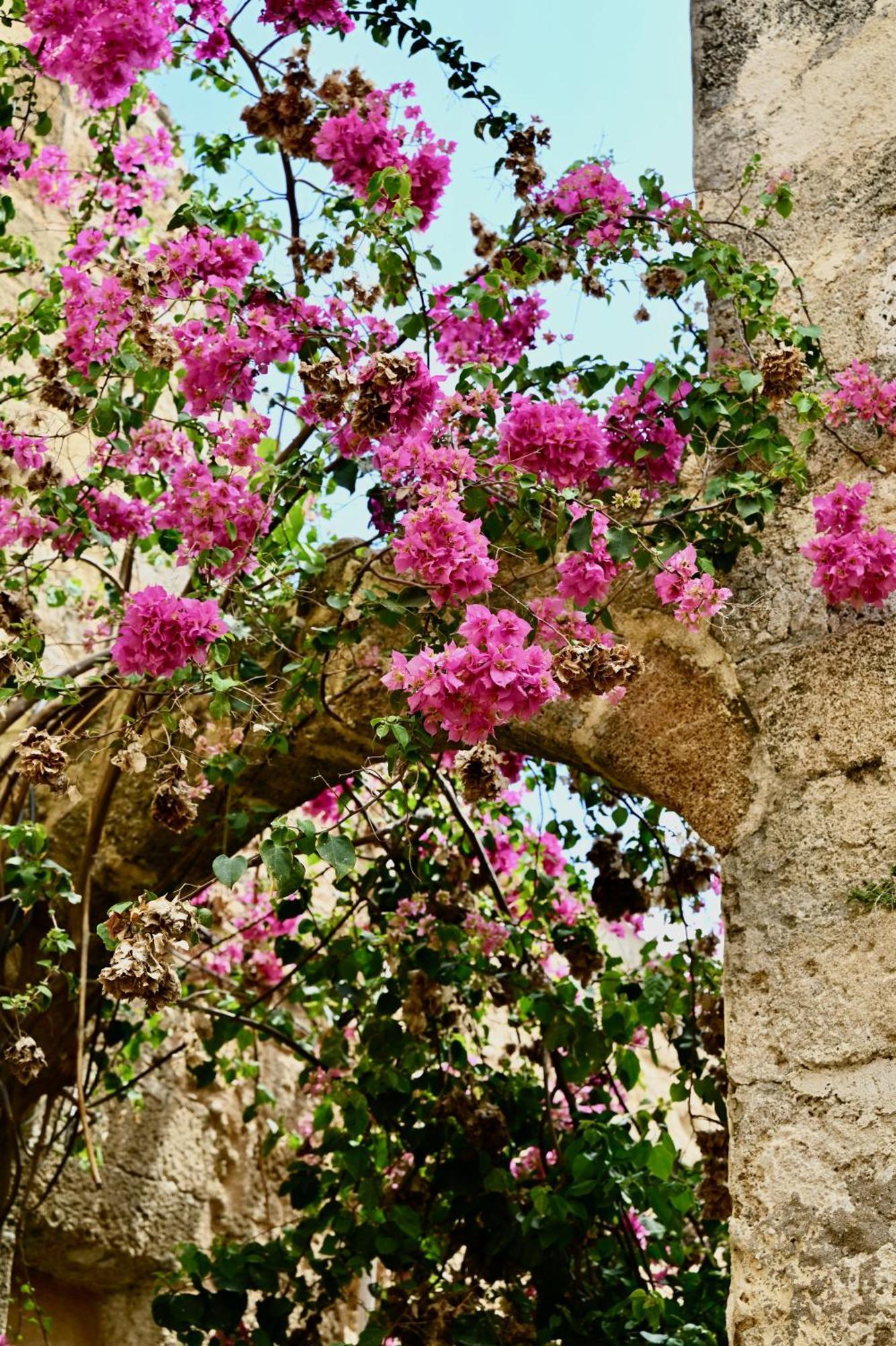 Apartamento Penelope Garden House Old Town Rhodes City Exterior foto